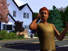 “SIMS 3系统要求显示